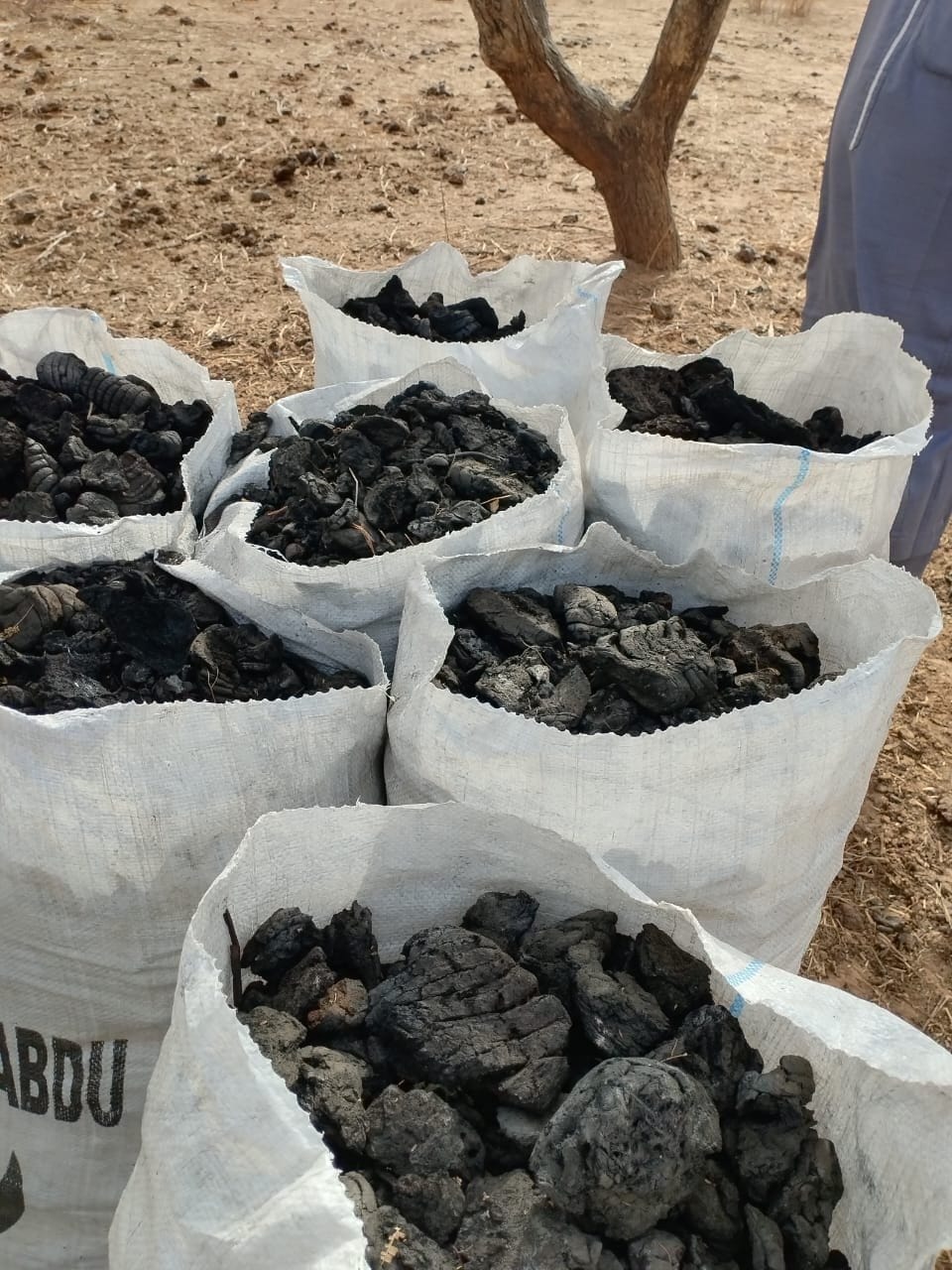 Charbon écologique ensaché